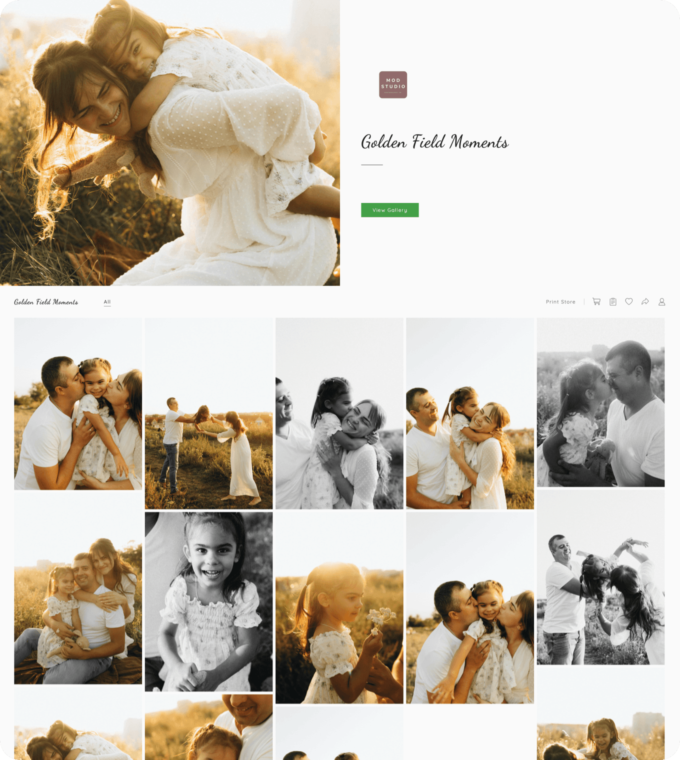 Family photography client gallery example in an online photo gallery