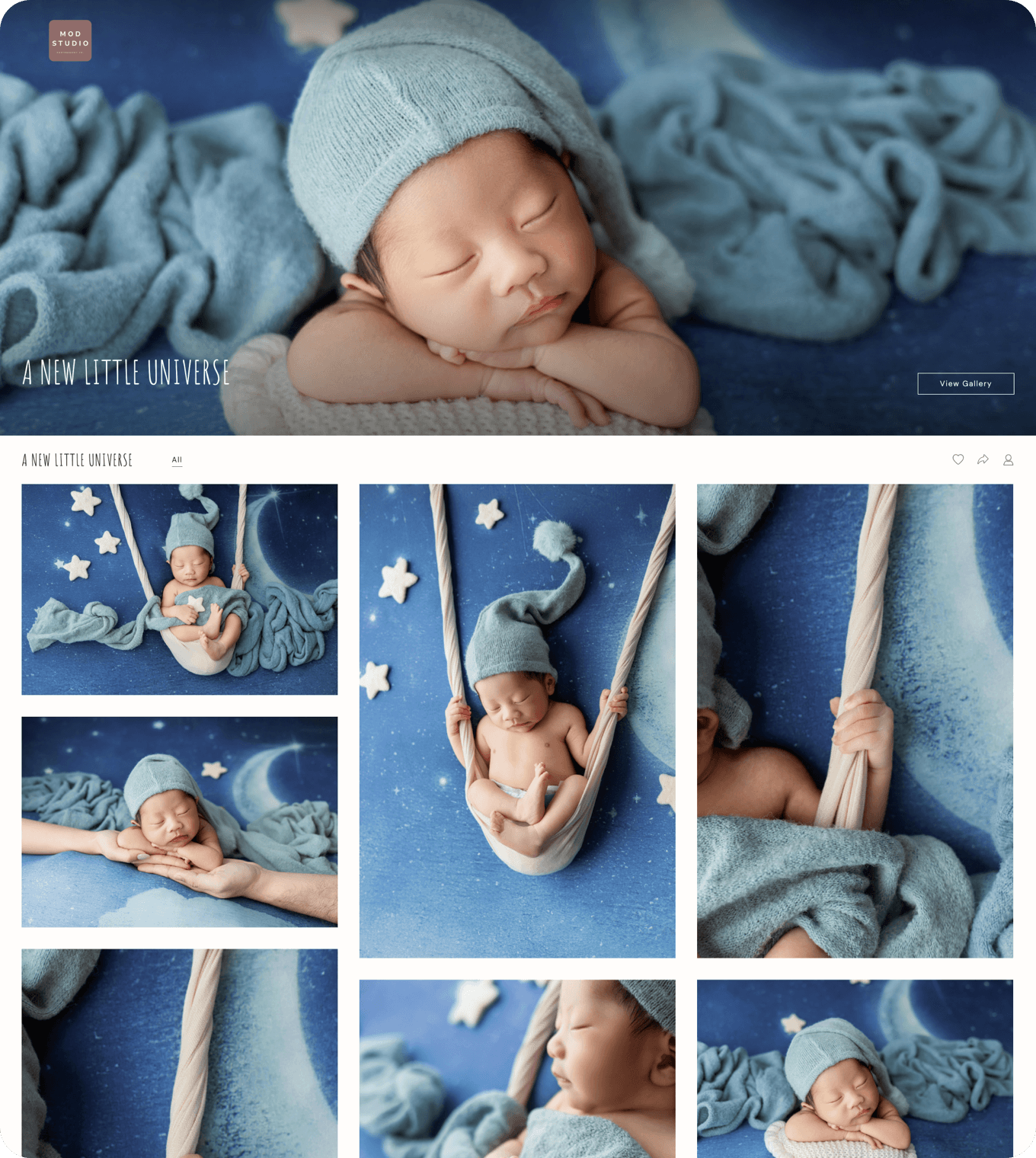 Newborn photography client gallery with secure online photo delivery