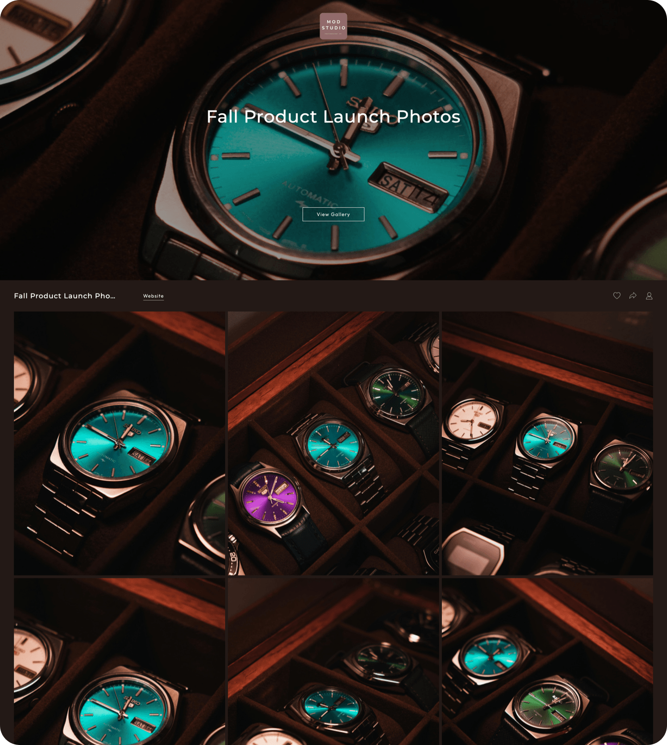 Commercial photography client gallery example in an online photo gallery