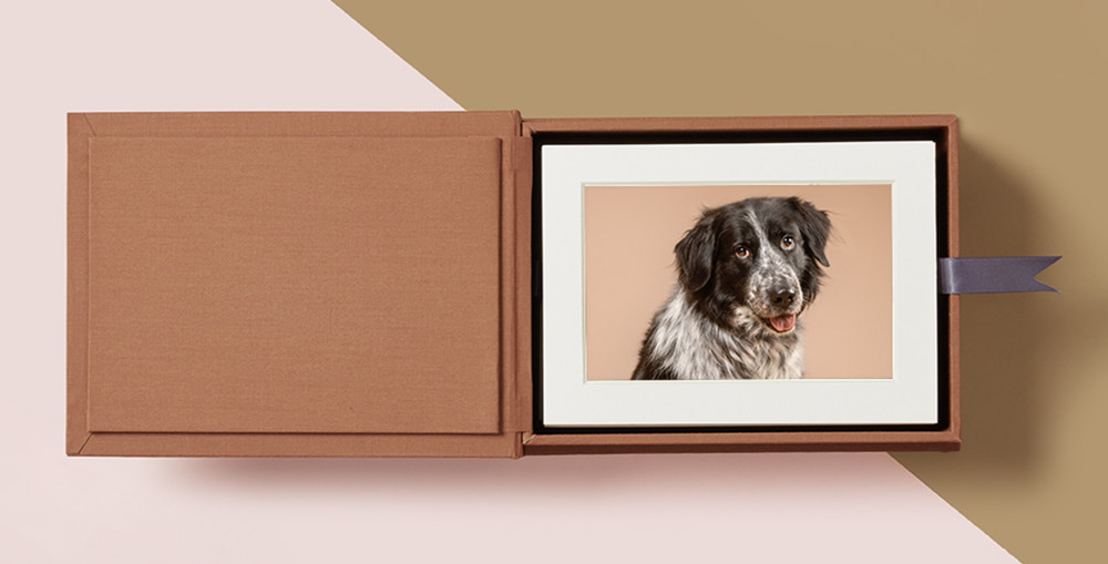 Pet photography folio box